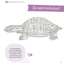 Libro de actividades Dinosaurios